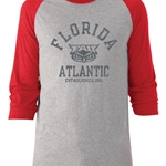 Tri-Blend Raglan Tee