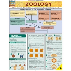 Zoology Chart